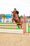 SBM_006977