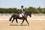 SBM_004914