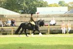 SBM_66635