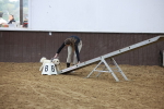 SBM_006081