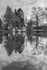 Windermere Reflection