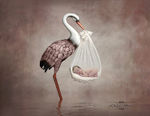 Stork girl