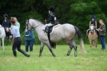 WJ7_4017