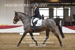 BPP_2208
