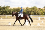 SBM_003368