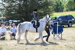 WJ6_7823