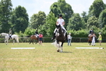 WJ6_6834