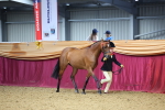 SBM_22630