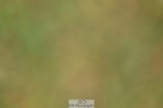 260730-120627-00605