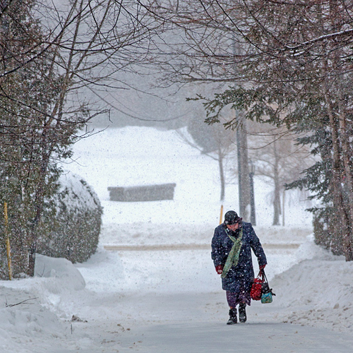 A pedestrian braves the very wintery weather conditions along a lane in Rothesay, New Brunswick, Canada.