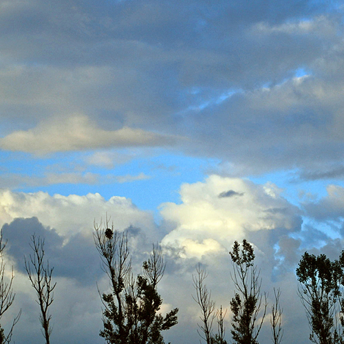 ..... a cow's head seems to have appeared within the evening cloud formation.