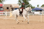 SBM_15618