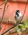 20110305-IMG_8087