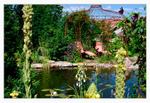 Krista's Garden 1