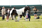 SBM_08758