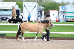 SBM_00212