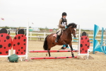 SBM_007311