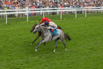 270724-Race 4-Greydreambeliever-4715