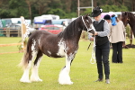 SBM_05969