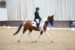 SBM_014152