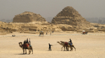 Camels at the Pyramids