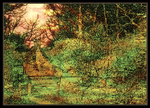 Cottage in the wood