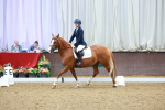 SBM_000435