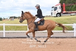 BPP_5613