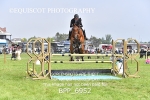 BPP_6952