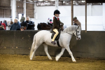 SBM_008937