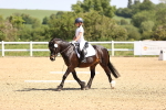SBM_008234