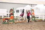Class 55 - Clear Round portfolio