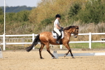 SBM_018637