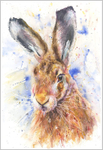 HARE Fine Art Print 492
