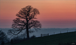 IMG_9204-Edit