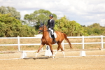 SBM_006272