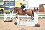 Cls 3 1.05m Amateur Quali portfolio
