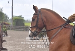 JAC_9965