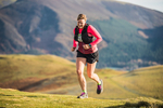 Sale Fell-565