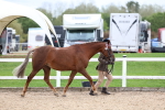 SBM_05841