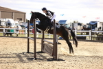 SBM_003513