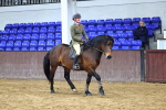 SBM_003608
