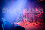 Pigsx7-93