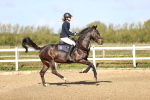 SBM_002952