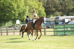 SBM_09733