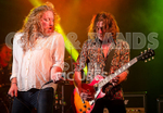Letz Zeppelin-2