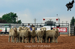 3HRodeo7-10-24_3HR0411_LJD