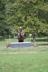 WJ7_0907