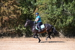 WJ6_8501