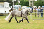 SBM_00469
